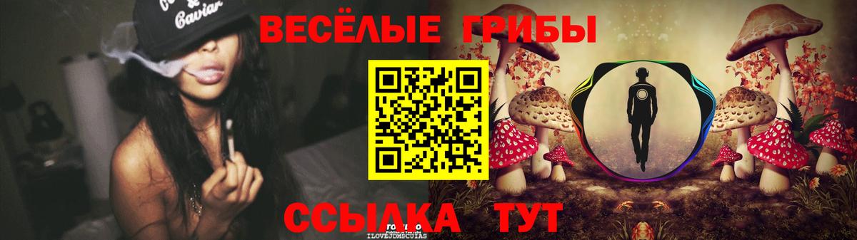 Псилоцибиновые грибы MAGIC MUSHROOMS  Вход с VPN  хочу наркоту  Оренбург 